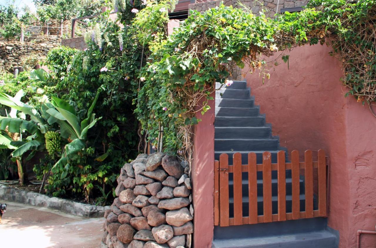 Tonono'S Village Santa Maria de Guia de Gran Canaria Exteriör bild