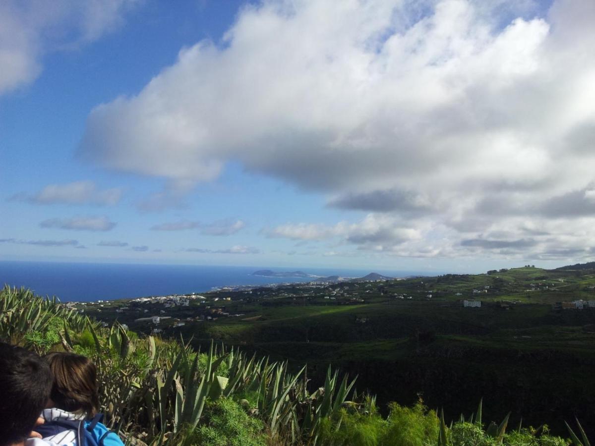 Tonono'S Village Santa Maria de Guia de Gran Canaria Exteriör bild