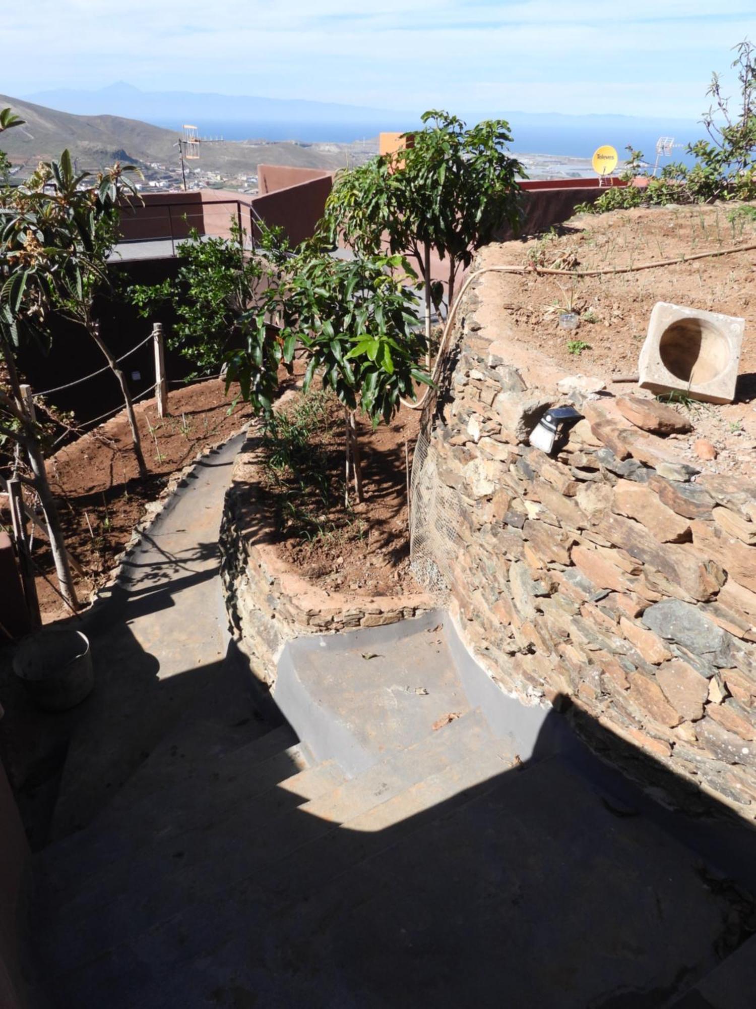 Tonono'S Village Santa Maria de Guia de Gran Canaria Exteriör bild