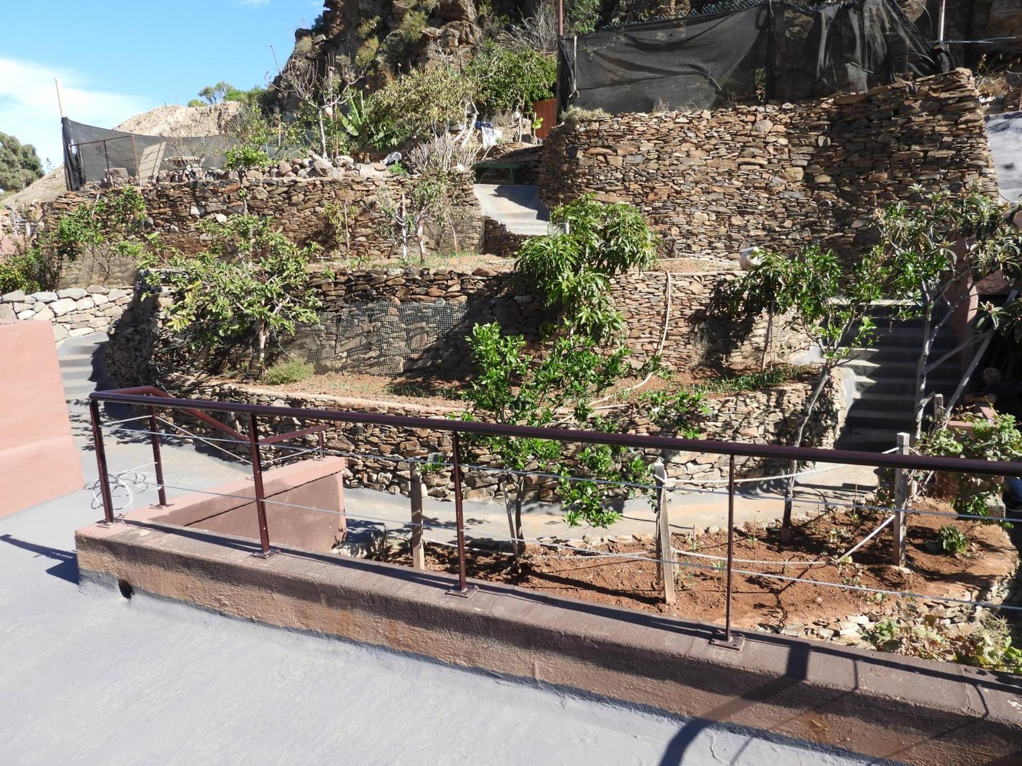 Tonono'S Village Santa Maria de Guia de Gran Canaria Exteriör bild